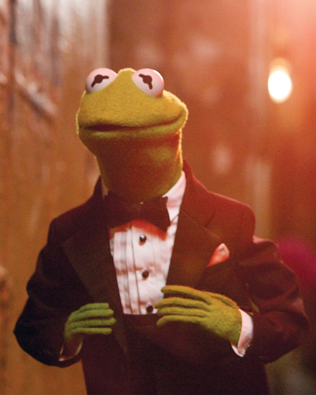 Kermit in Tuxedo